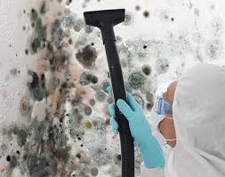 Reliable Fair Oaks, GA Mold Removal & Remediation Solutions